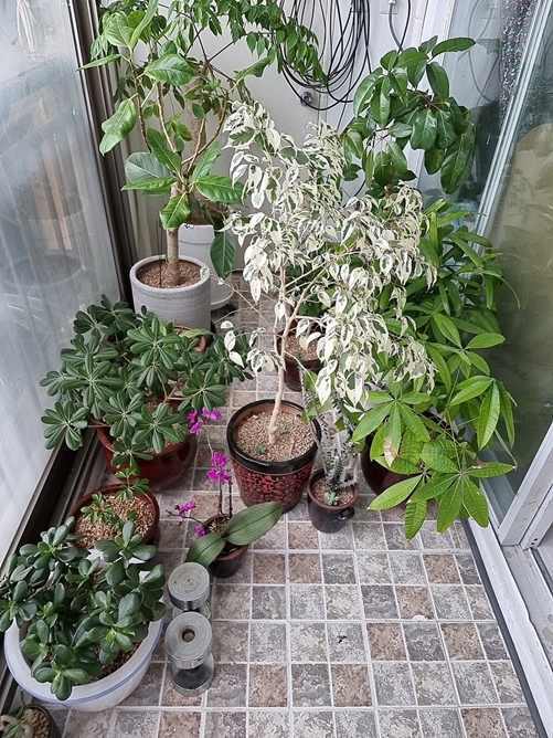 울산용달 PC 이미지 987527