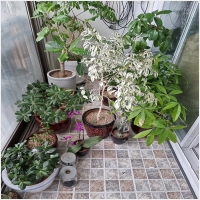 울산용달 PC 갤러리 7
